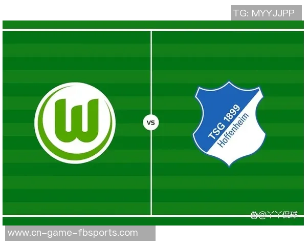 沃尔夫斯堡对霍芬海姆比赛数据分析及战术解析详解